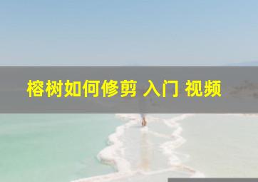 榕树如何修剪 入门 视频